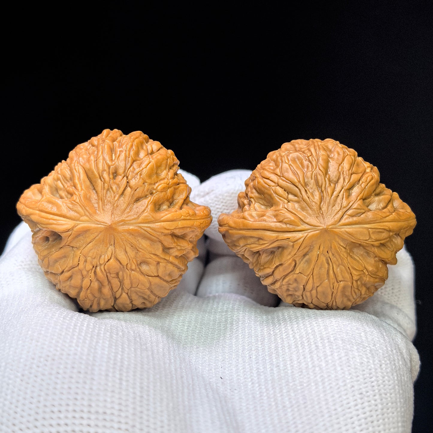 "Iron Hammer Sister" Tiechui Maimai TCMM-SY1C4 Low-Profile Wenwan Walnuts Pair | 41.0mm x 40.0mm | TCMM-SY1C4