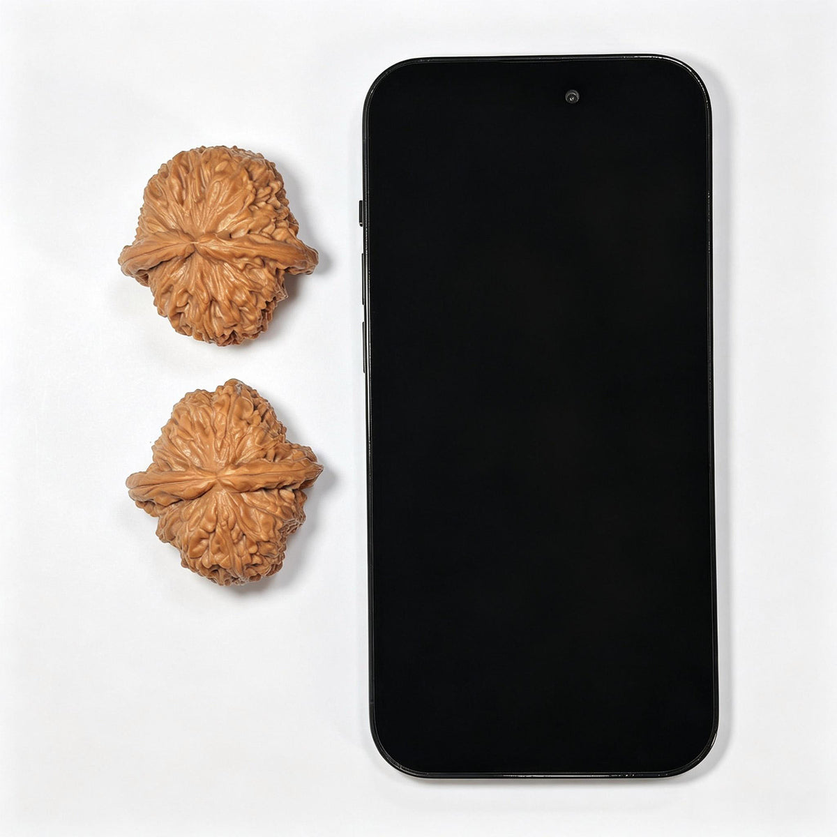 White Lion Wenwan Walnut Pair | Broad Round Profile | 40.0mm x 40.0mm | BSJ-SY1D0
