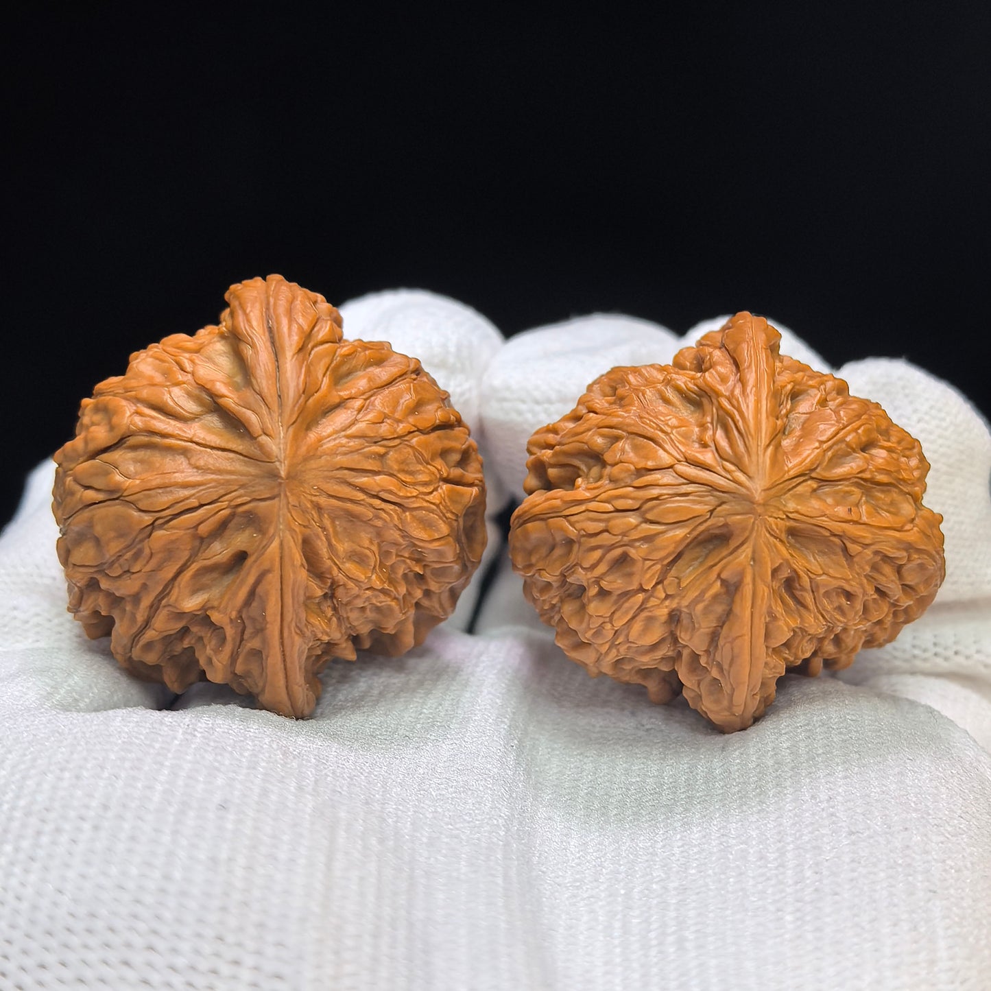 "Millstone Vulture" Mopan Zuoshandiao Special Mutation Wenwan Walnuts Pair | 36.0mm x 36.0mm | MPZSD-C233E