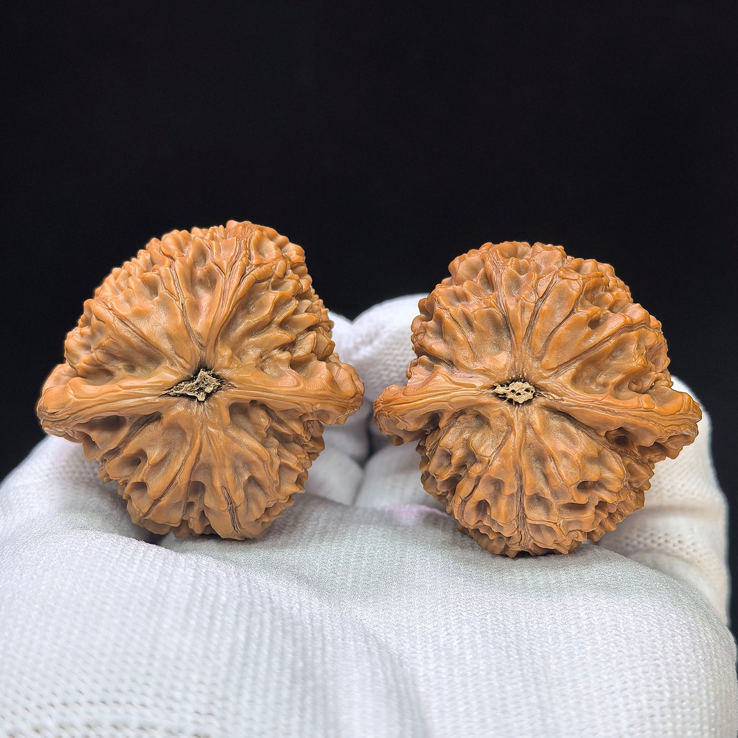 "Water Dragon Texture" Shui Long Wen SLW-1502C Low-Profile Wenwan Walnuts Pair | 40.0mm x 39.0mm | SLW-1502C