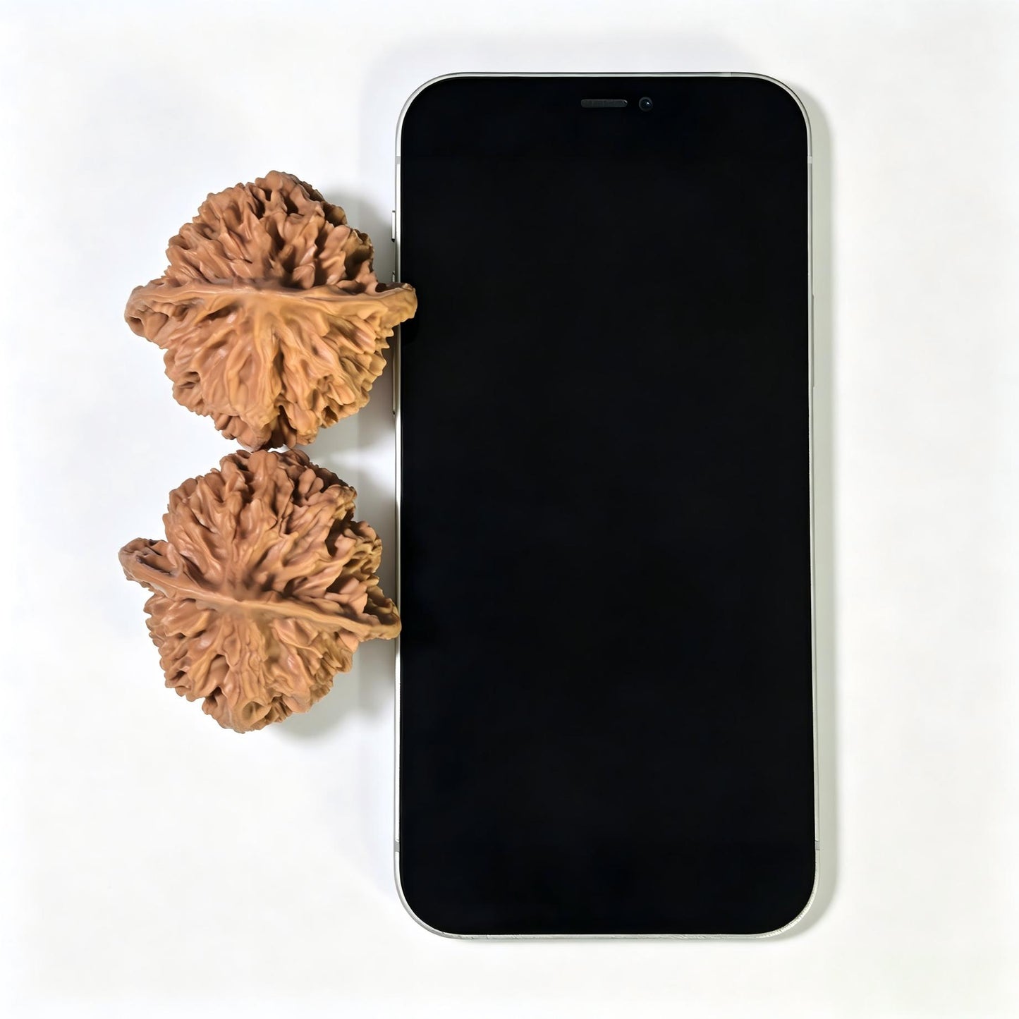 "Imperial Crown" Diwang DW-1601 Wenwan Walnuts Pair | 47.0mm x 46.0mm | DW-1601