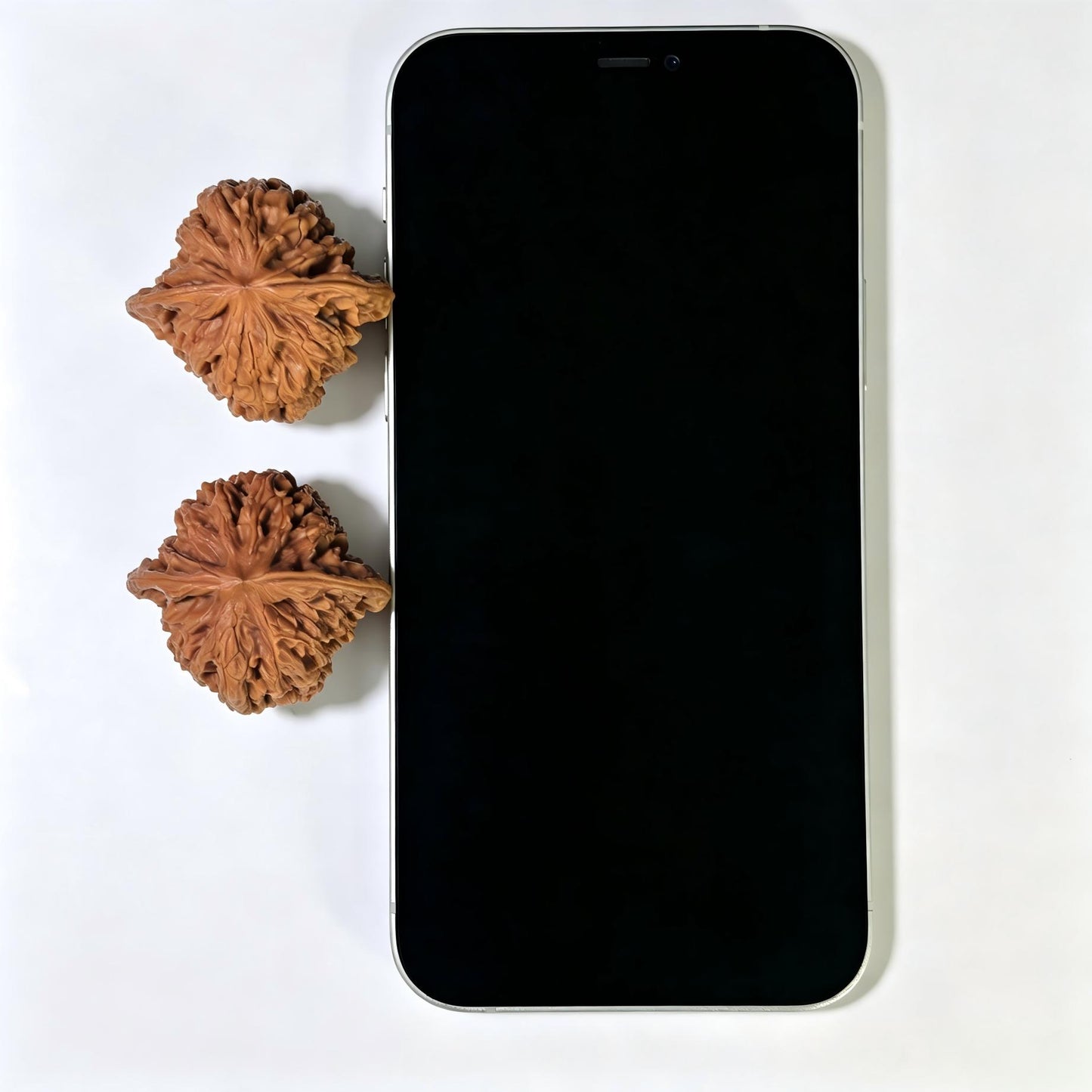 "Misty Soul Mountain" Wuling Shan WLS-1602 Low-Profile Wenwan Walnuts Pair | 39.0mm x 36.0mm | WLS-1602