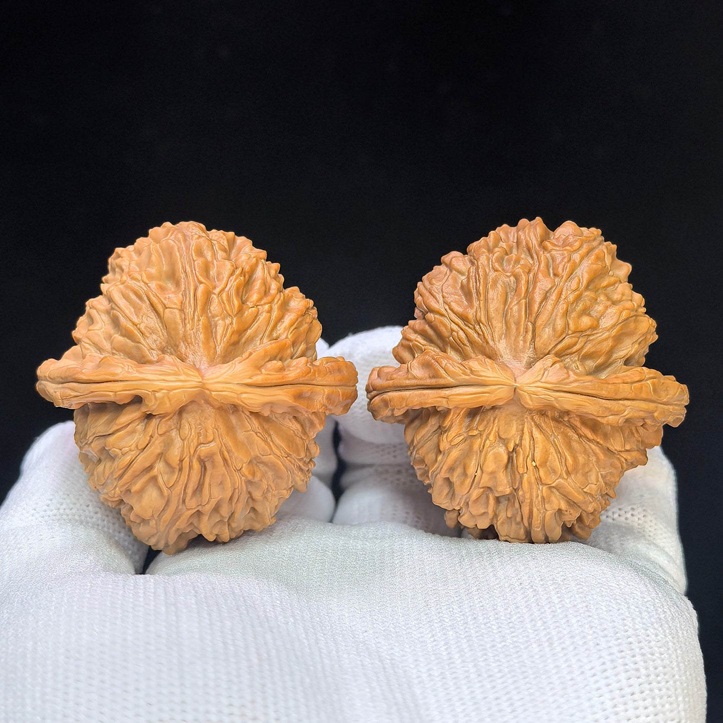 "Spherical White Lion" Qiu Xing Baishizi QXBSJ-1501C Low-Profile Wenwan Walnuts Pair | 44.0mm x 45.0mm | QXBSJ-1501C