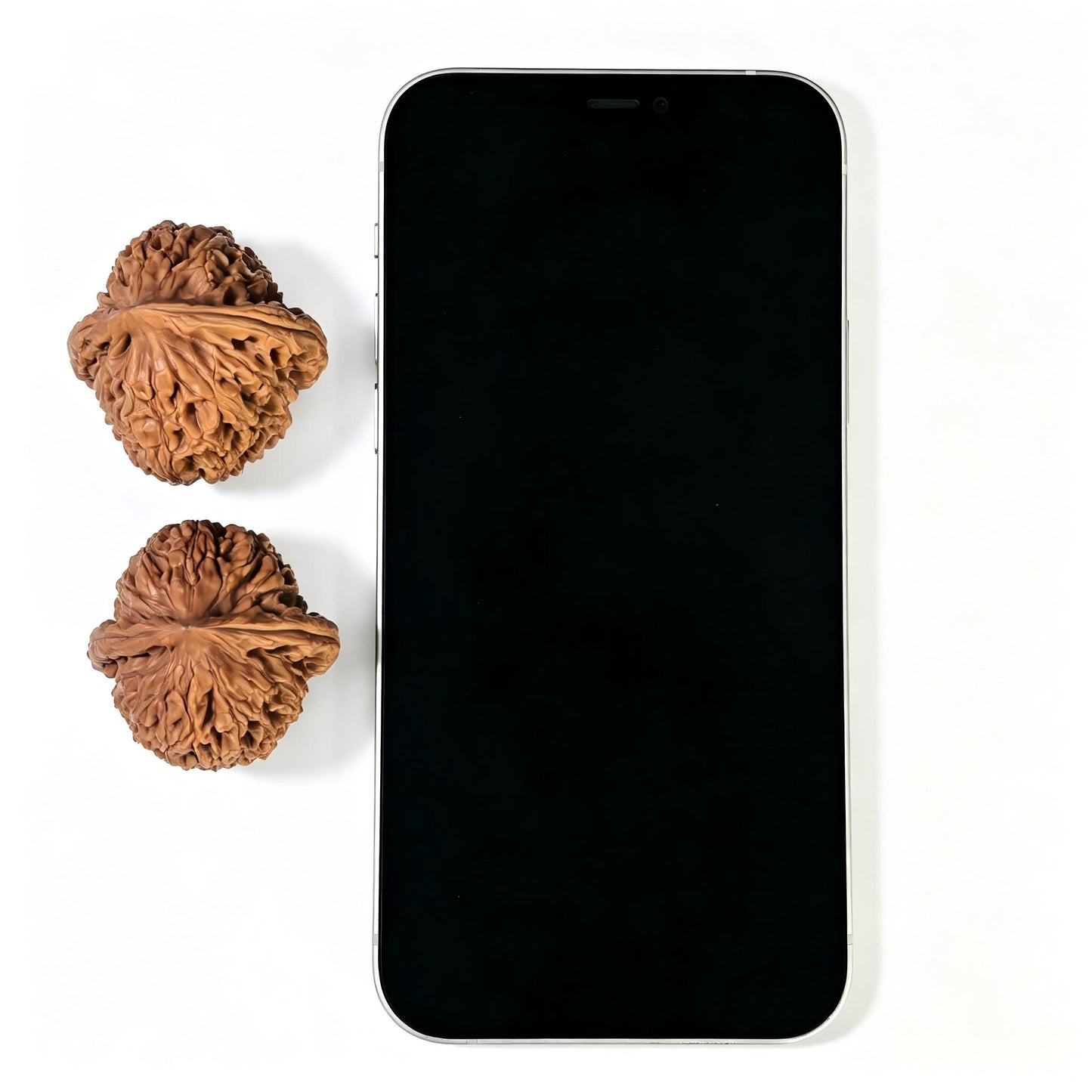 "Water Dragon Grain" Shuilongwen SLW-1601 Classic Wenwan Walnuts Pair | 37.0mm x 38.0mm | SLW-1601