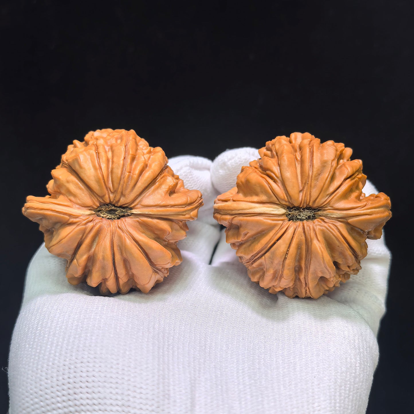 "Huakun Dragon" Huakunlong Wenwan Walnuts Pair | 48.0mm x 46.0mm | HKL-1551C
