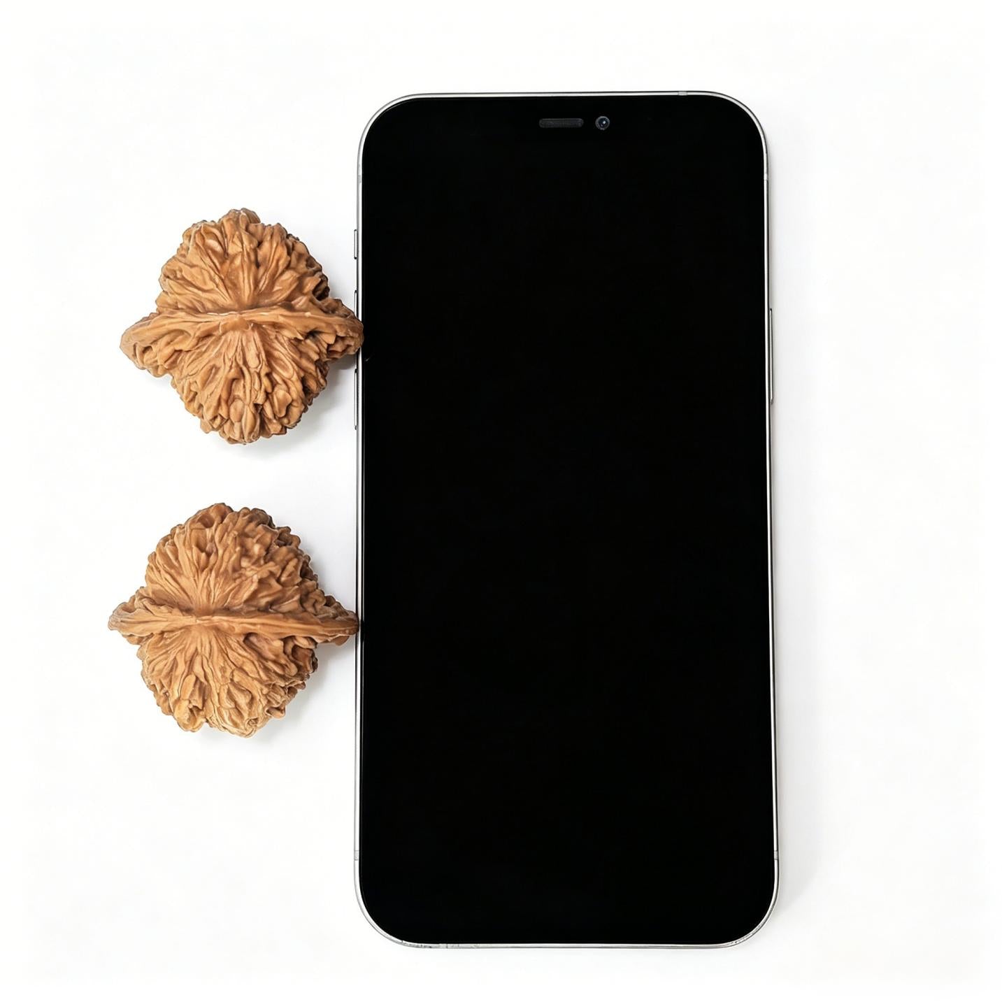 "Four-Tower Pavilion Lionhead" Sizouloutou SZL-1405 Low-Profile Wenwan Walnuts Pair | 41.0mm x 39.0mm | SZL-1405