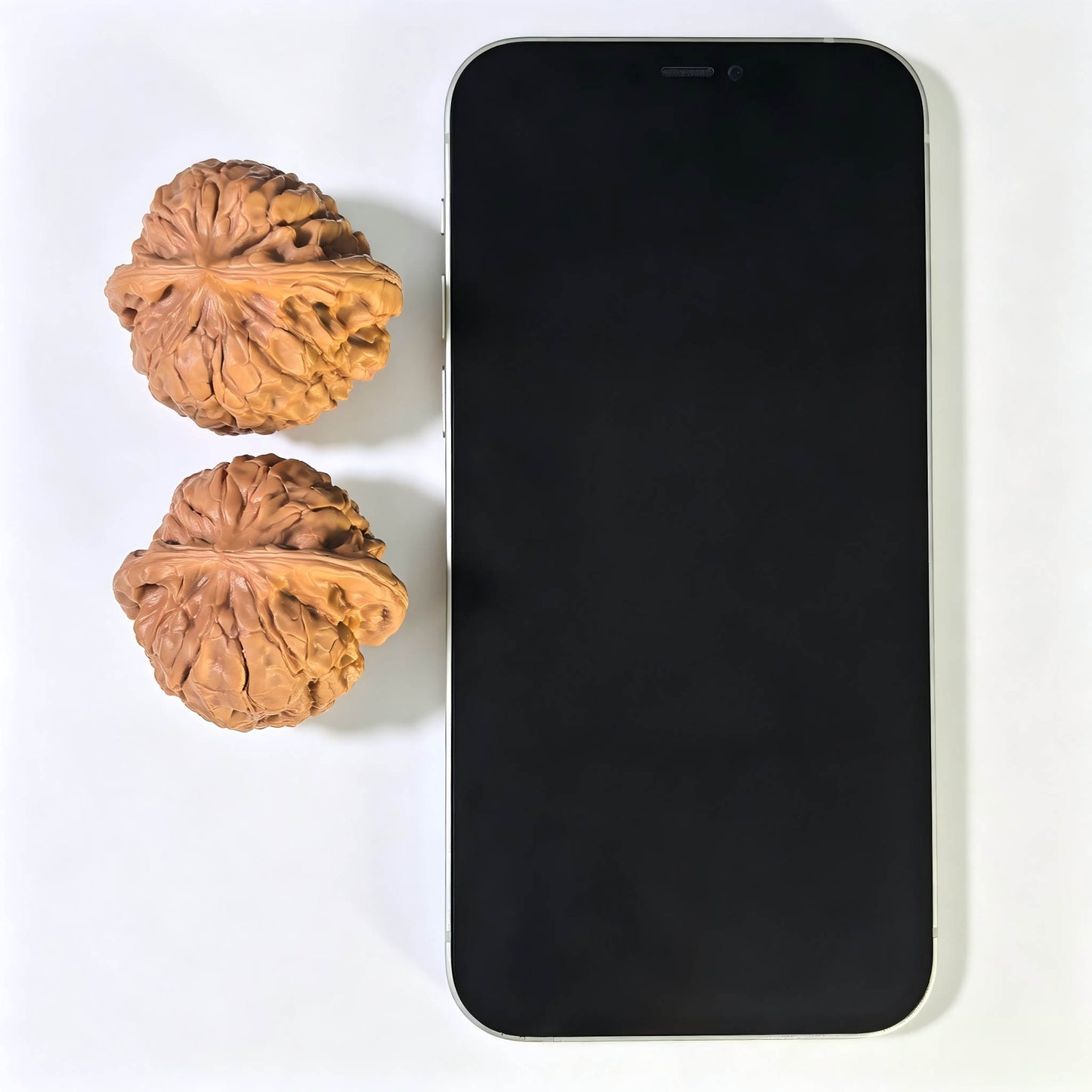 "Butterfly Oracle Bone Script" Hudie Jiaguwen HDJGW-1601 Low-Profile Wenwan Walnuts Pair | 40.0mm x 38.0mm | HDJGW-1601