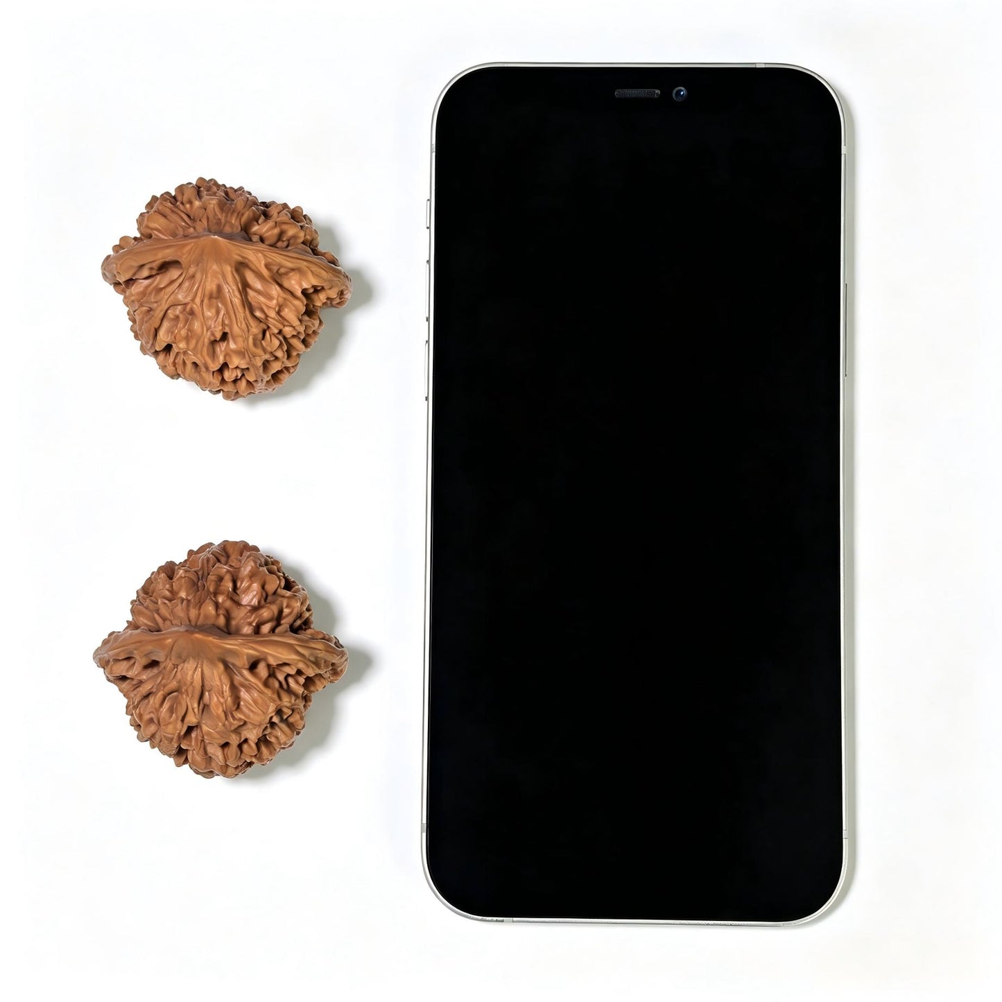 "Official Hat" Guanmao GM-1111 Classic Wenwan Walnuts Pair | 41.0mm x 39.0mm | GM-1111