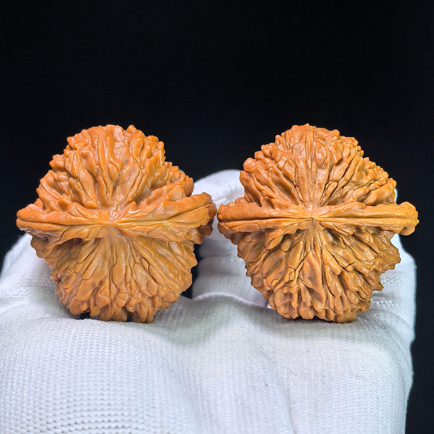 Low-Apex White Lion Head (Men Jian Bai Shi Zi) Scholar Walnuts Pair | Premium Select 45.0mm x 46.0mm | Classic Deep-Belly Format | Stock ID: BSJ-1303C