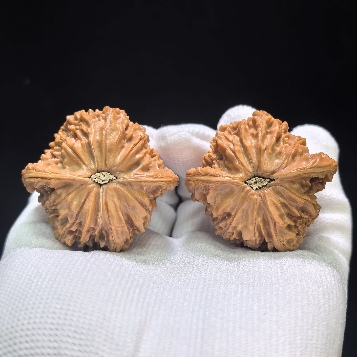 "Millstone" Mopan Wenwan Walnuts (Pair) | 43.0mm x 40.0mm | Stock ID: MP-1503C