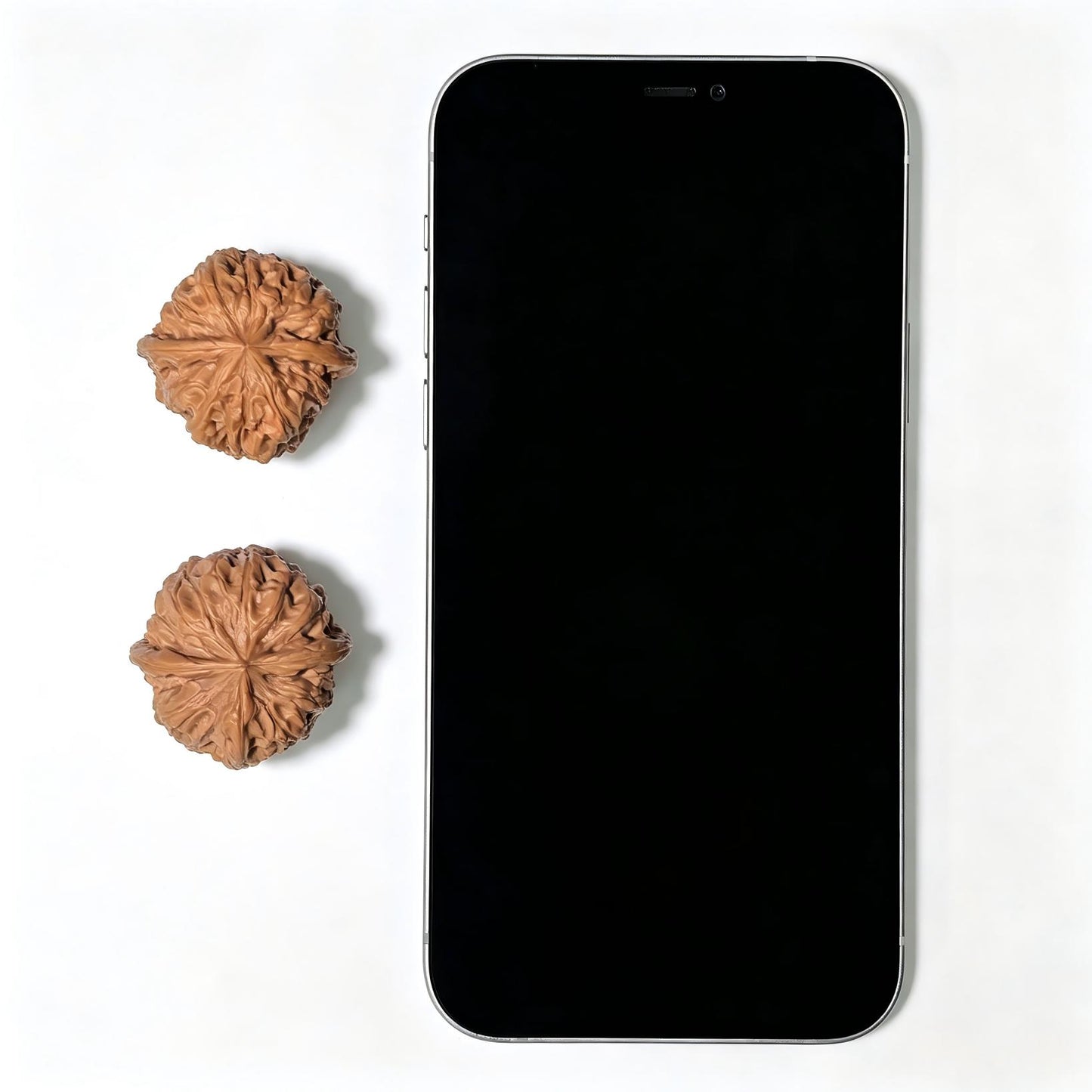 "Rain Flower Pebble" Yuhuashi YHS-1105 Pocket-Sized Wenwan Walnuts Pair | 32.0mm x 32.0mm | YHS-1105