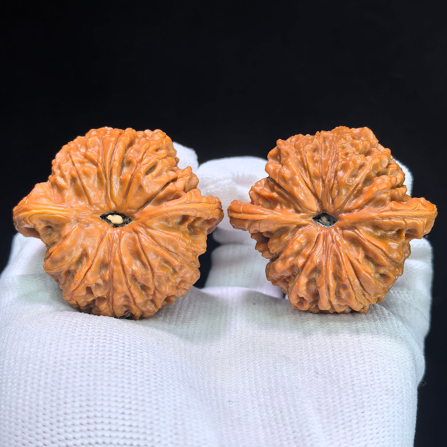 The "Blood Kylin" (Xue Qilin) Museum-Grade Low-Profile Giant Pair | 45.0mm x 42.0mm | XQL-1301C