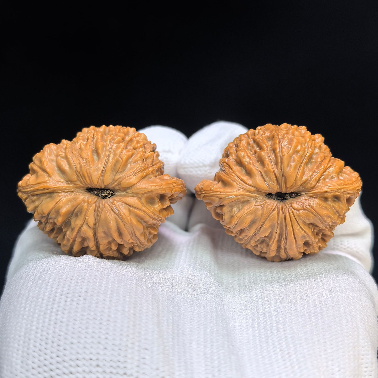 "Hydrangea" Xiuqiu Wenwan Walnuts Pair | 41.0mm x 34.0mm | XQ-101SY