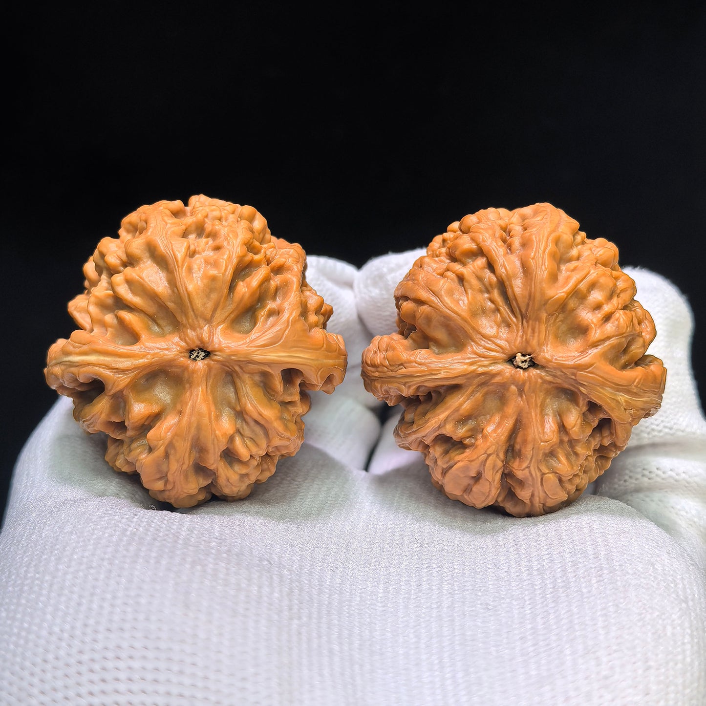 "Red Koi" Hongjinli Wenwan Walnuts Pair | 40.0mm x 42.0mm | HJL-1551C
