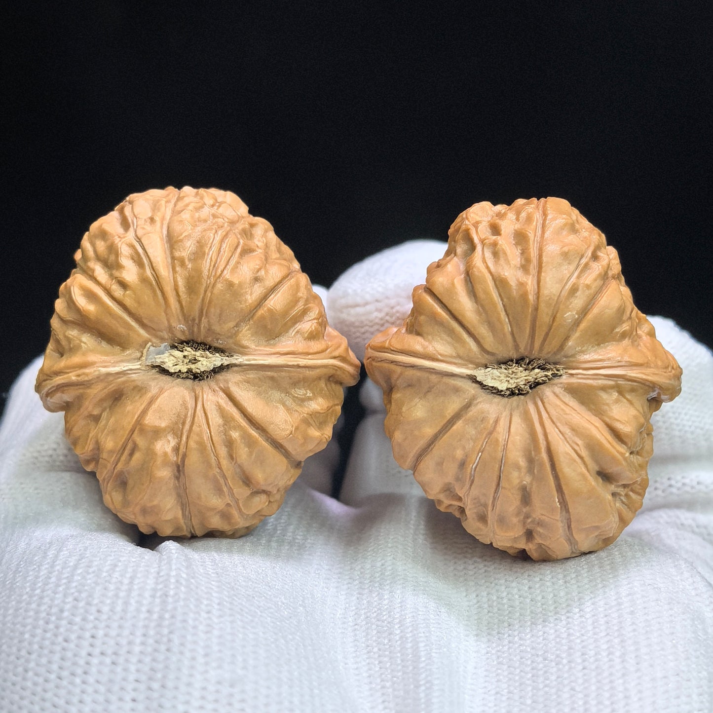 "Pumpkin Dun" Nanguadun NGD-17C7C Low-Profile Wenwan Walnuts Pair | 39.0mm x 43.0mm | NGD-17C7C