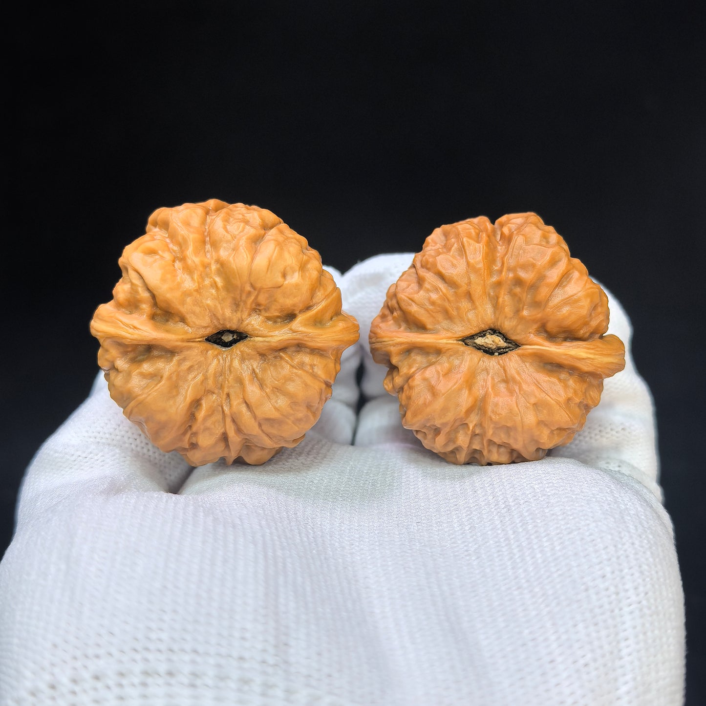 "Crystal Toad Frog" Chanchu Shuijingwa HMT-1503C Low-Profile Wenwan Walnuts Pair | 38.0mm x 40.0mm | HMT-1503C