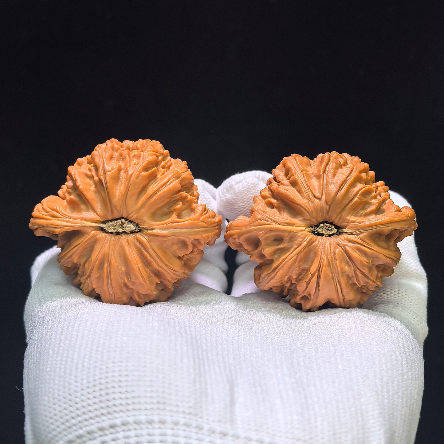 "White Lion Head" Bai Shishi Wenwan Walnuts Pair | 49.0mm x 44.0mm | BSJ-1551C