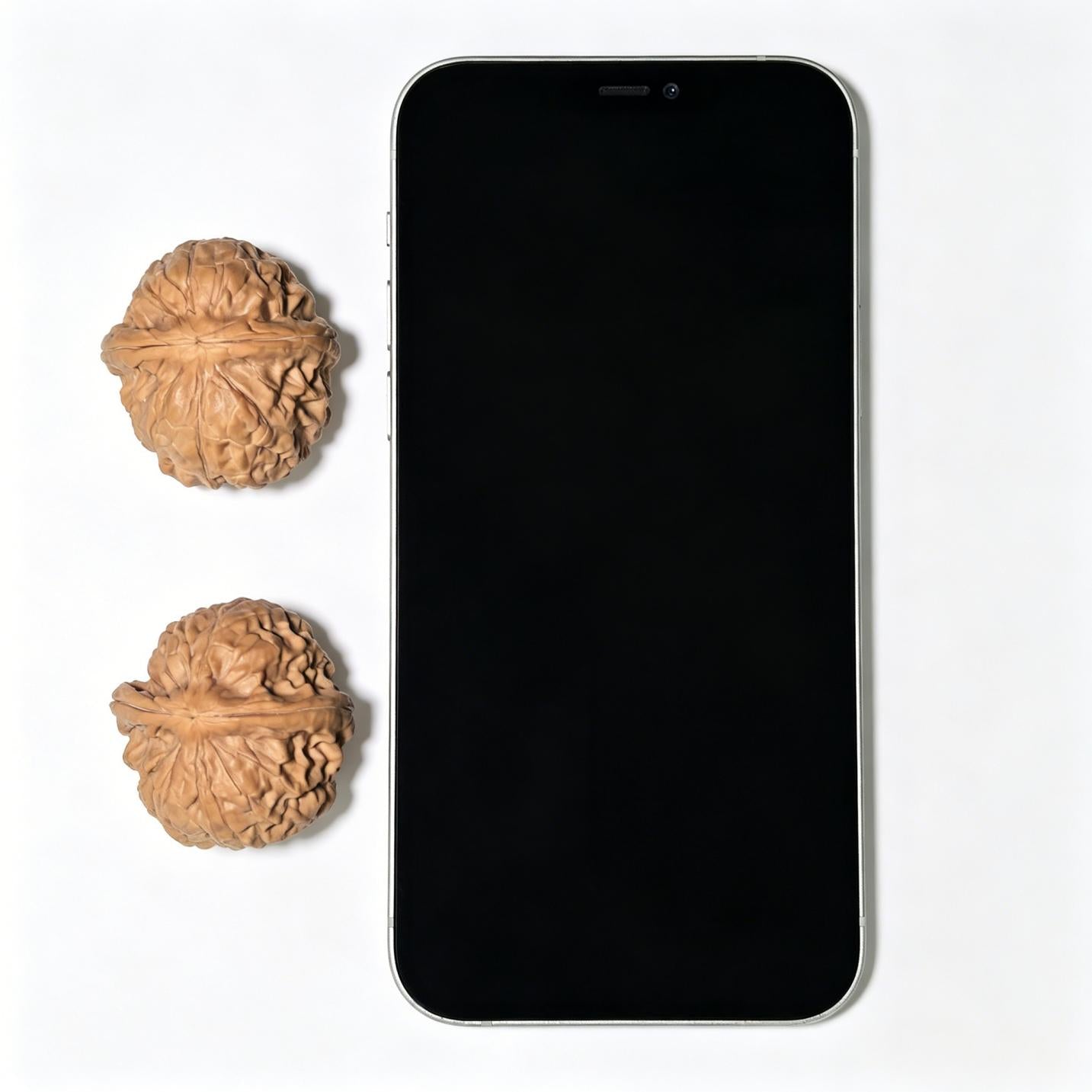 "Golden Toad Vessel" Jinchanzun Wenwan Walnuts Pair | 35.0mm x 38.0mm | JCZ-1401