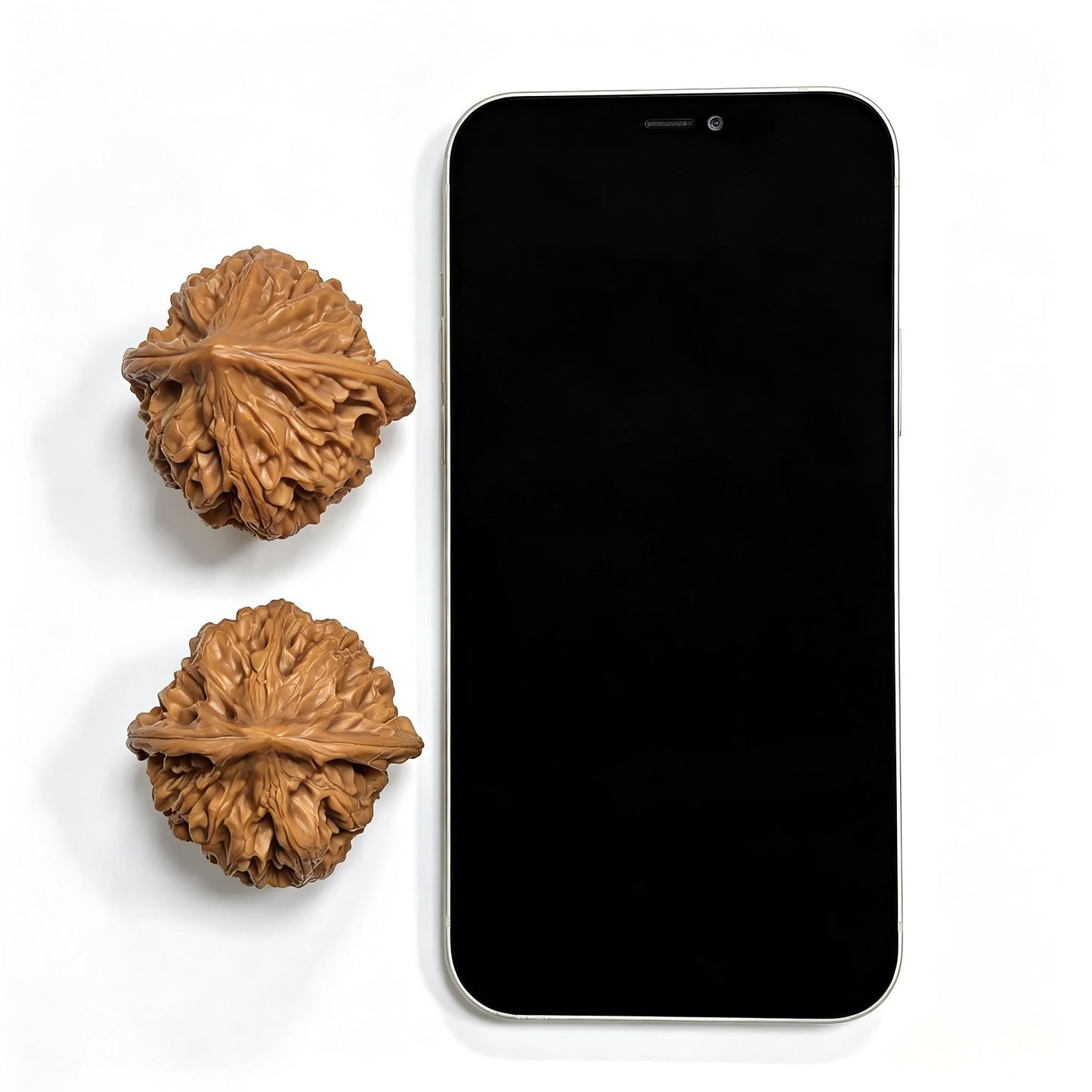 "Beijing Chicken Heart" Beijing Jixin BJJX-17A5C Wenwan Walnuts Pair | 44.0mm x 44.0mm | BJJX-17A5C