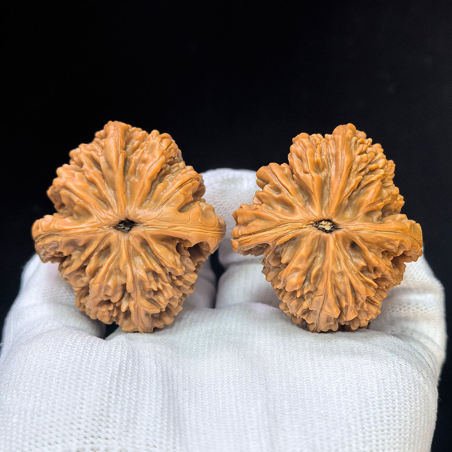 "Jixian Tiger Head King" Jixian Hutouwang JSHTW-SY1F1 Low-Profile Wenwan Walnuts Pair | 43.0mm x 45.0mm | JSHTW-SY1F1