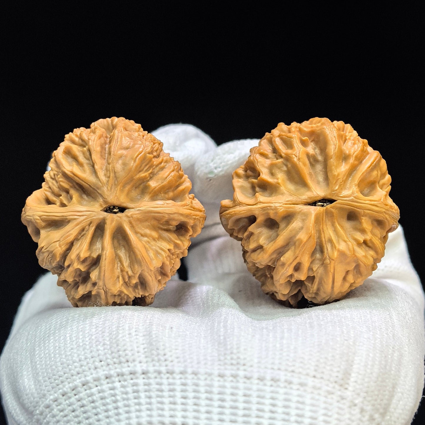 "North China General's Shoulder" Huabei Jiangjunbang Low-Profile Wenwan Walnuts Pair | 37.0mm x 40.0mm | HBJJB-1501C