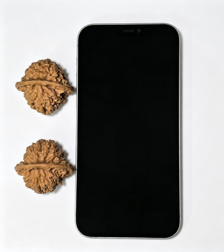 Peach Heart Xialingling (Xia Yun Ling) Scholar Walnuts Pair | 39.0mm x 37.0mm | Compact Ingot Silhouette | Stock ID: XYL-1402