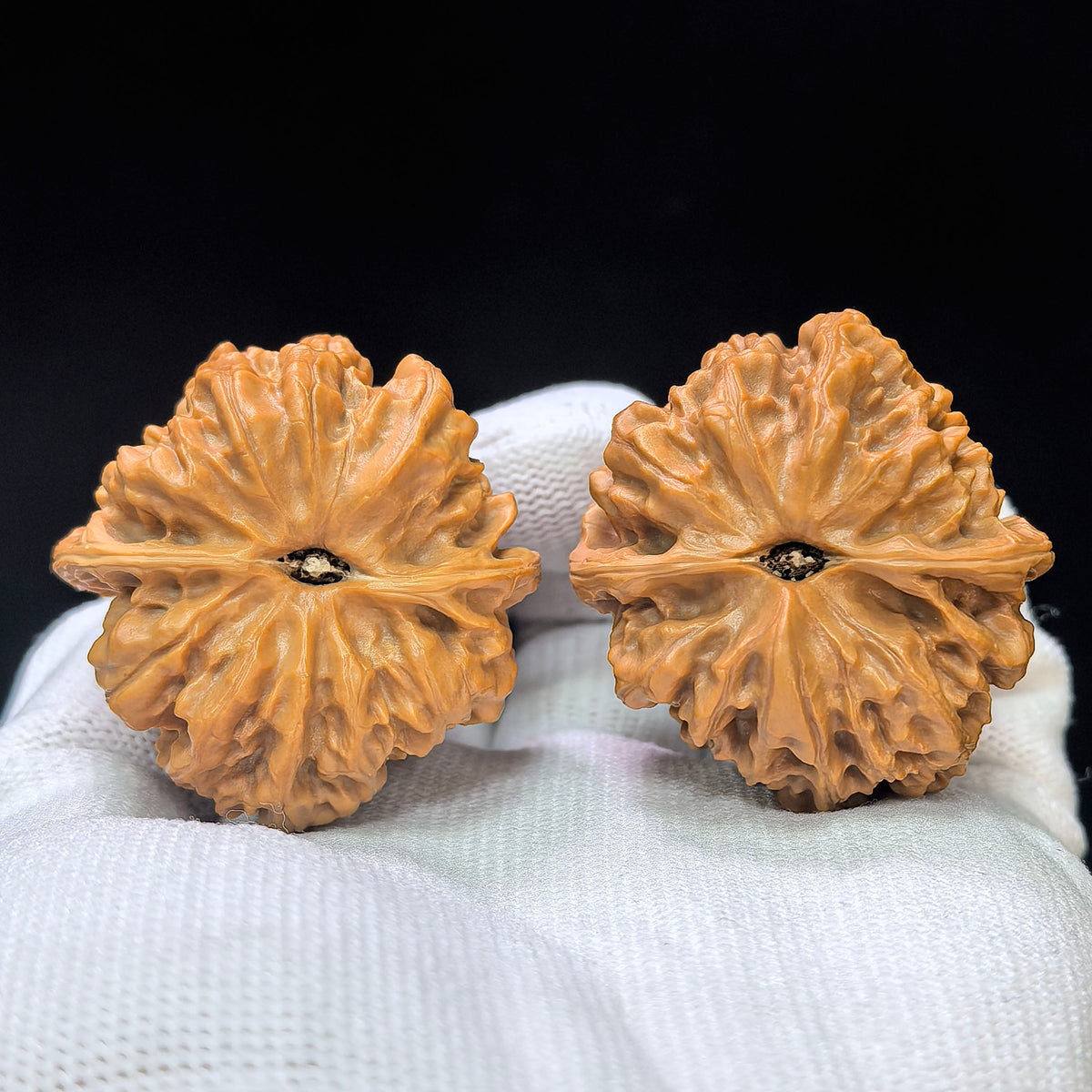 Triangular Peach-Heart “Wild Buffalo” Wenwan Walnut Pair | 38.0mm x 40.0mm | SJTXBD-17F5