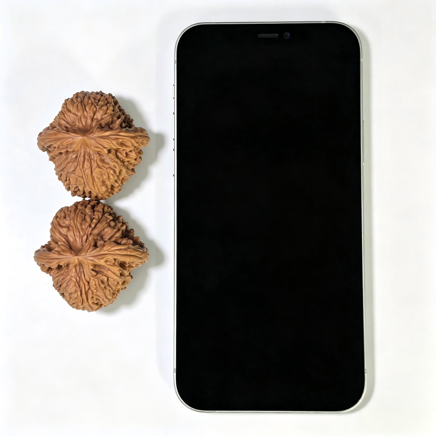 "Spherical Nanjiangshi Lionhead" Qiuxing Nanjiangshi NJS-1502C Low-Profile Wenwan Walnuts Pair | 41.0mm x 41.0mm | NJS-1502C