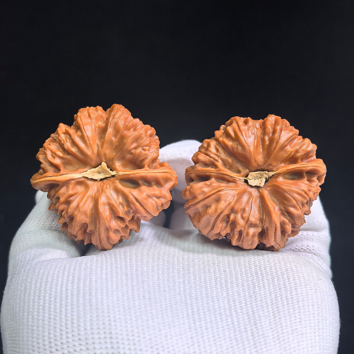 "Triangular Peach Heart Concave Base Palace Lantern" Sanjiao Taoxin Aodi Gongdeng GD-SY1A6 Low-Profile Wenwan Walnuts Pair | 42.0mm x 42.0mm | GD-SY1A6