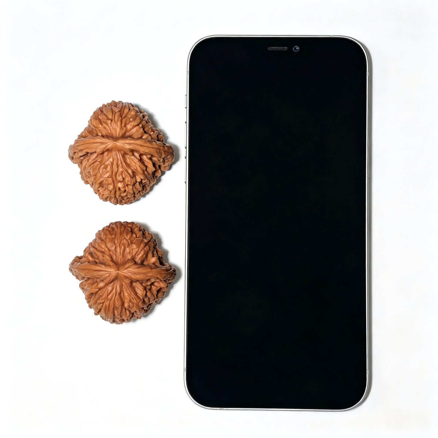 The Spherical Nanjiangstone Masterpiece | 41.0mm x 40.0mm | NJS-1209C