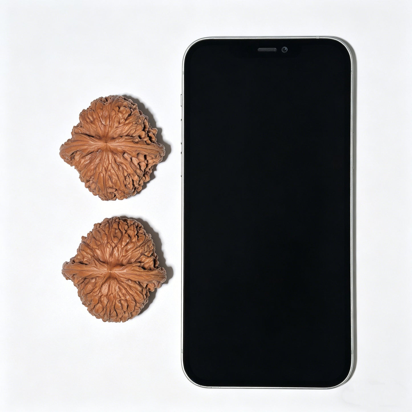 [Boutique Grade] The "Nanjiang Stone" (NJS) Concave-Base Sphere Matched Pair | 43.0mm x 43.0mm | NJS-1203C