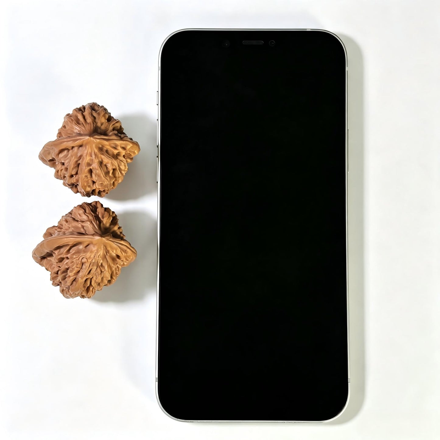 "Gecko x Luohan Head Hybrid" Bihou Luohantou BHLHT-1601 Low-Profile Wenwan Walnuts Pair | 37.0mm x 35.0mm | BHLHT-1601