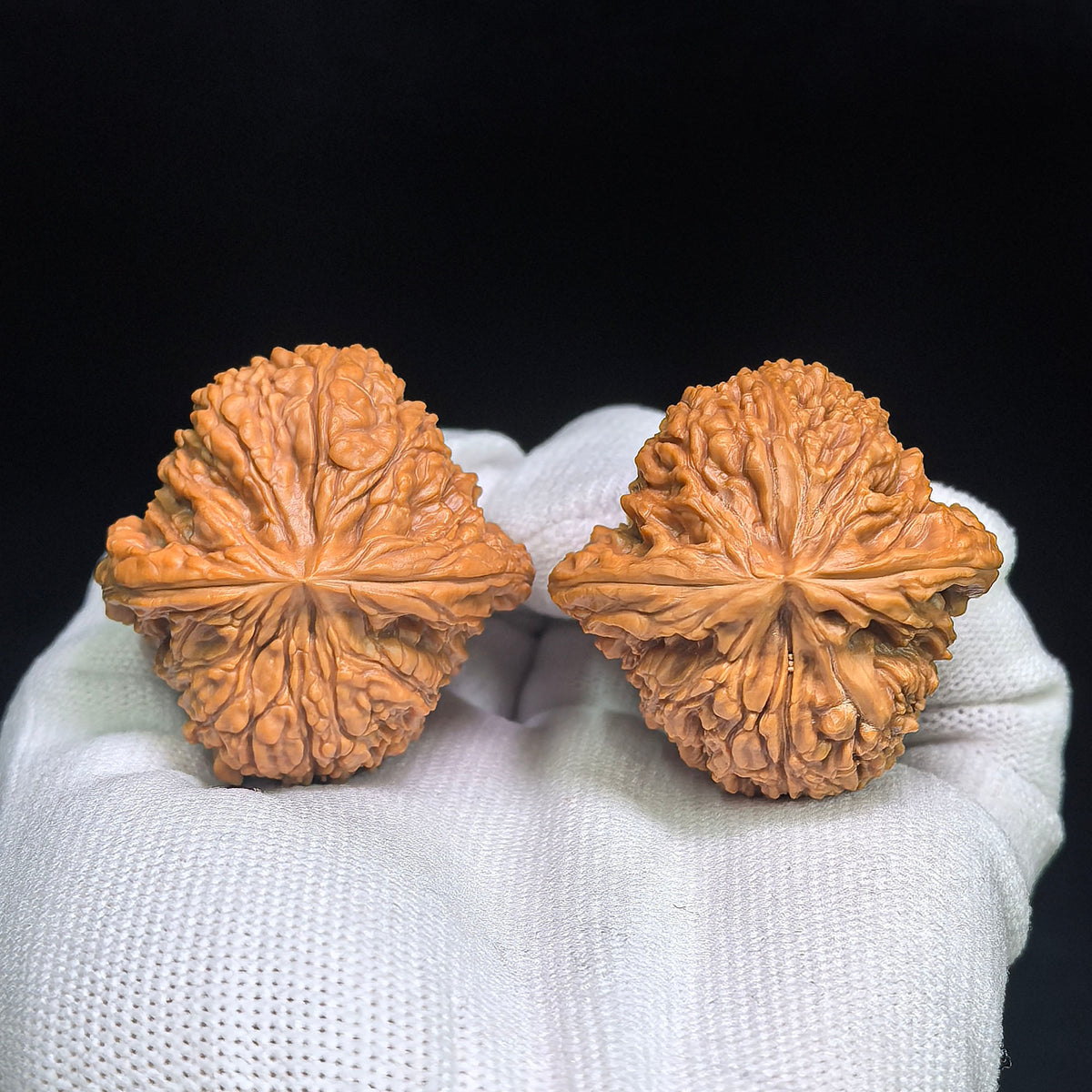 Winged “Butterfly White Lion” Wenwan Walnut Pair — 41.0mm x 41.0mm | HDBS-C1D5E