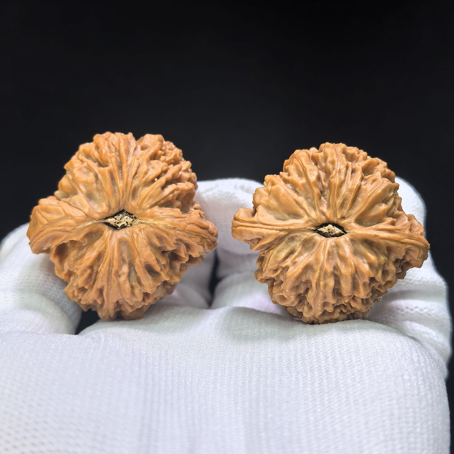 "Triangle Nanjiang Stone" Sanjiao Nanjiangshi Wenwan Walnuts Pair | 38.0mm x 38.0mm | NJS-1512C