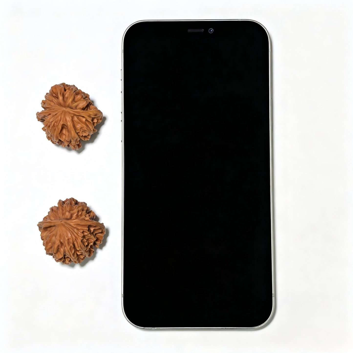 "Mini Wild Specimen" Xiao Yasheng (Shounian) YS-1105 Pocket-Sized Wenwan Walnuts Pair | 31.0mm x 31.0mm | YS-1105