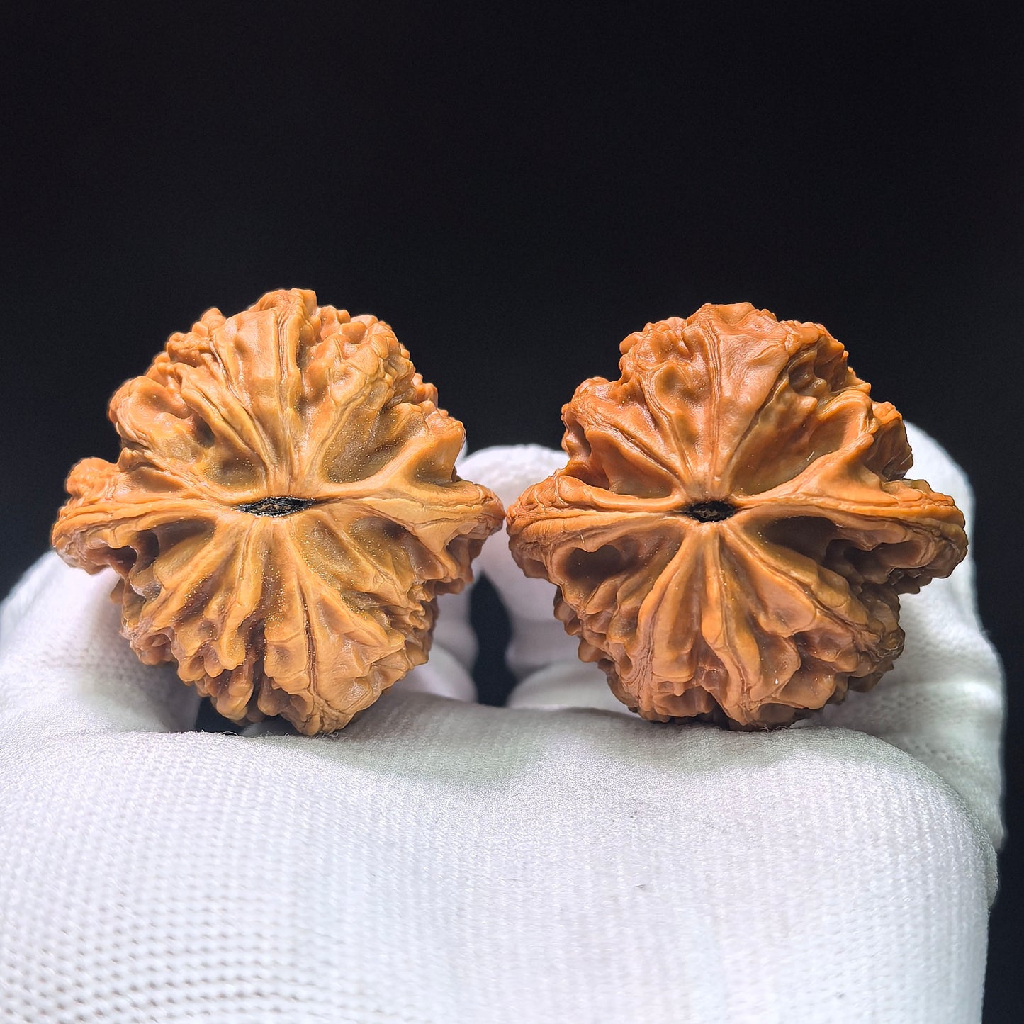 The "Great Weathered Rock" (Da Ku Shi) Premium Low-Profile Pair | 43.0mm x 42.0mm | DKS-1301C