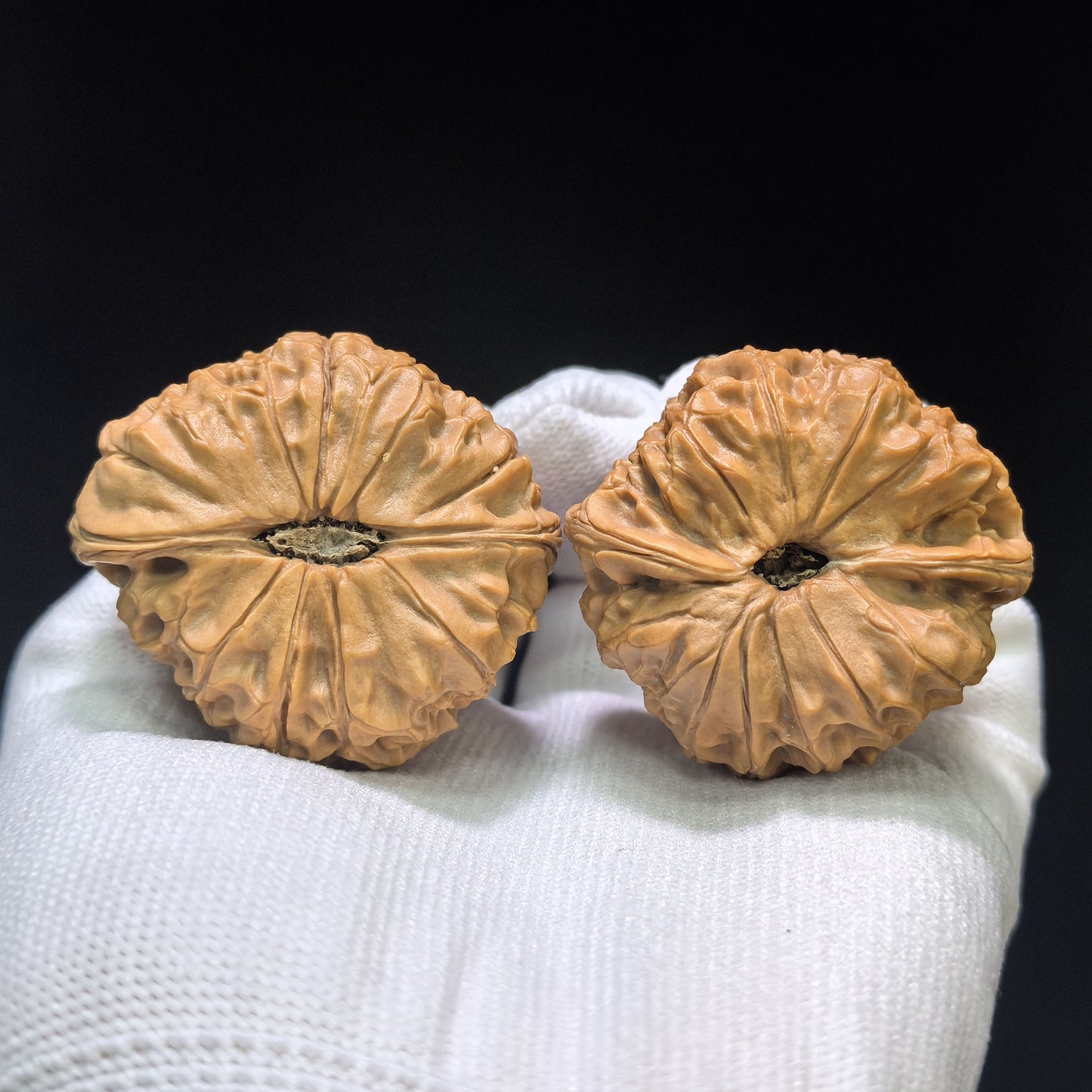 "Triangle Grand Reunion" Sanjiao Da Tuan Yuan Wenwan Walnuts (Pair) | 45.0mm x 42.0mm | Stock ID: TY-1503C
