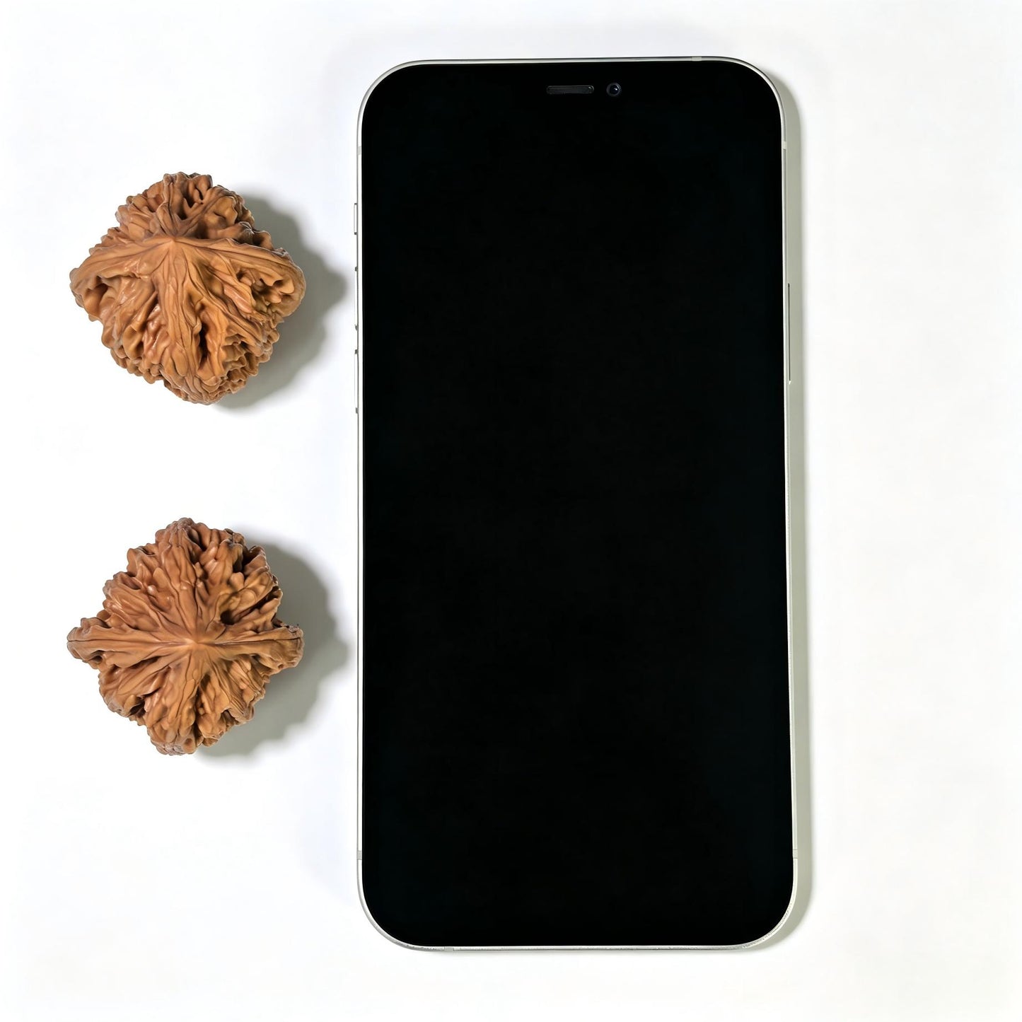 "Beijing Chicken Heart" Beijing Jixin Wenwan Walnuts Pair | 36.0mm x 36.0mm | BJJX-1103