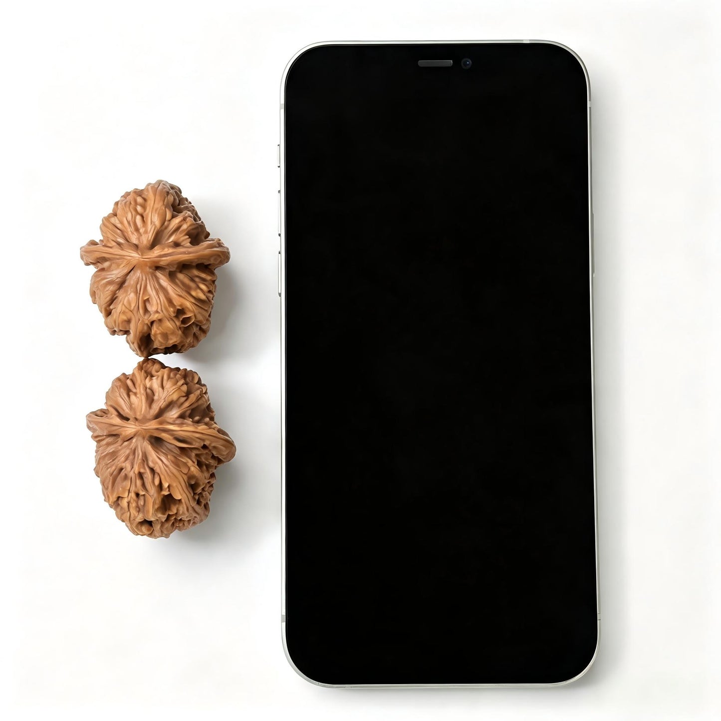 "Pinggu Square / Block" Pinggu Fangkuai PGFK-1502C Low-Profile Wenwan Walnuts Pair | 33.0mm x 39.0mm | PGFK-1502C