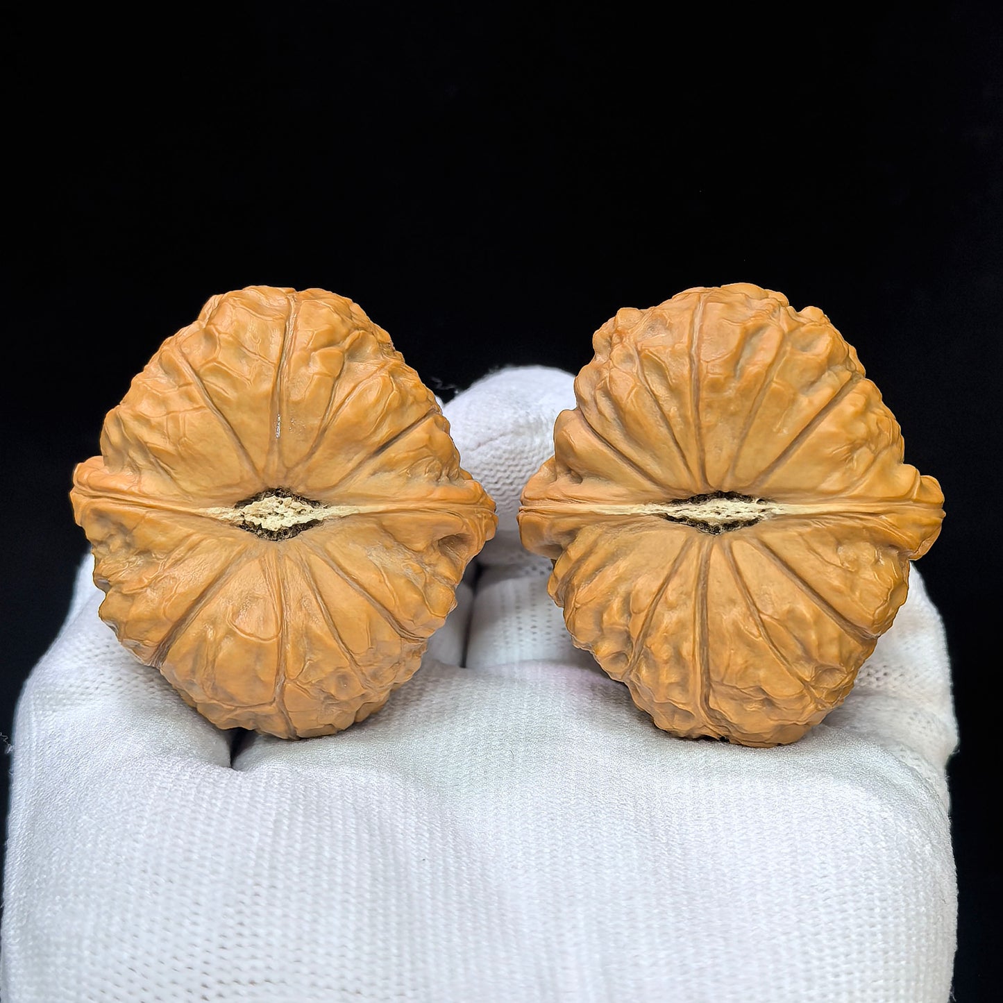 "Flat Pumpkin Dun" Bingxing Nanguadun BJNGD-SY1F4 Low-Profile Wenwan Walnuts Pair | 48.0mm x 44.0mm | BJNGD-SY1F4