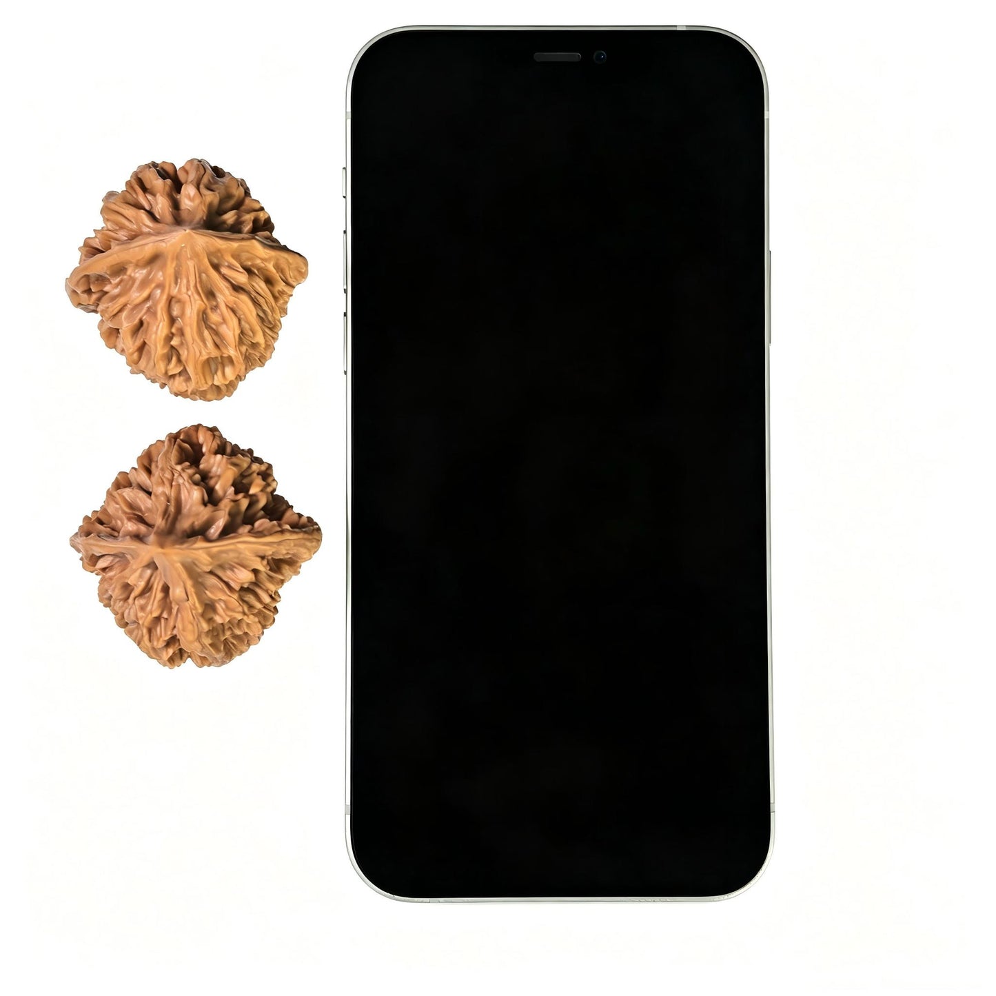 "Dragon Scale" Longlin LL-1601 Classic Wenwan Walnuts Pair | 40.0mm x 39.0mm | LL-1601