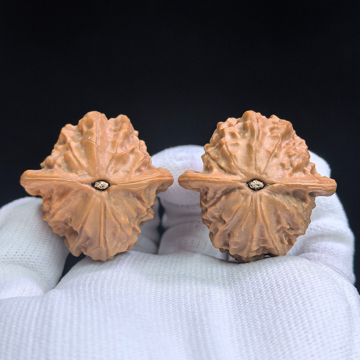 Round-Bodied Deep-Textured Porcelain Doll Wenwan Walnut Pair — 38.0mm x 38.0mm | CWW-17C1C