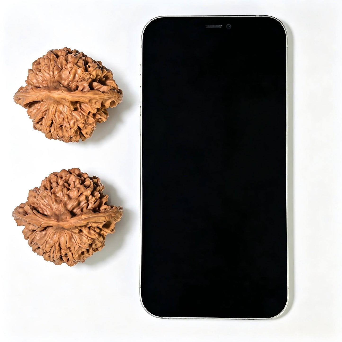 "Wang Yong Big Official Hat" Wangyong Da Guan Mao Wenwan Walnuts (Pair) | 50.0mm x 46.0mm | Stock ID: DGM-1105