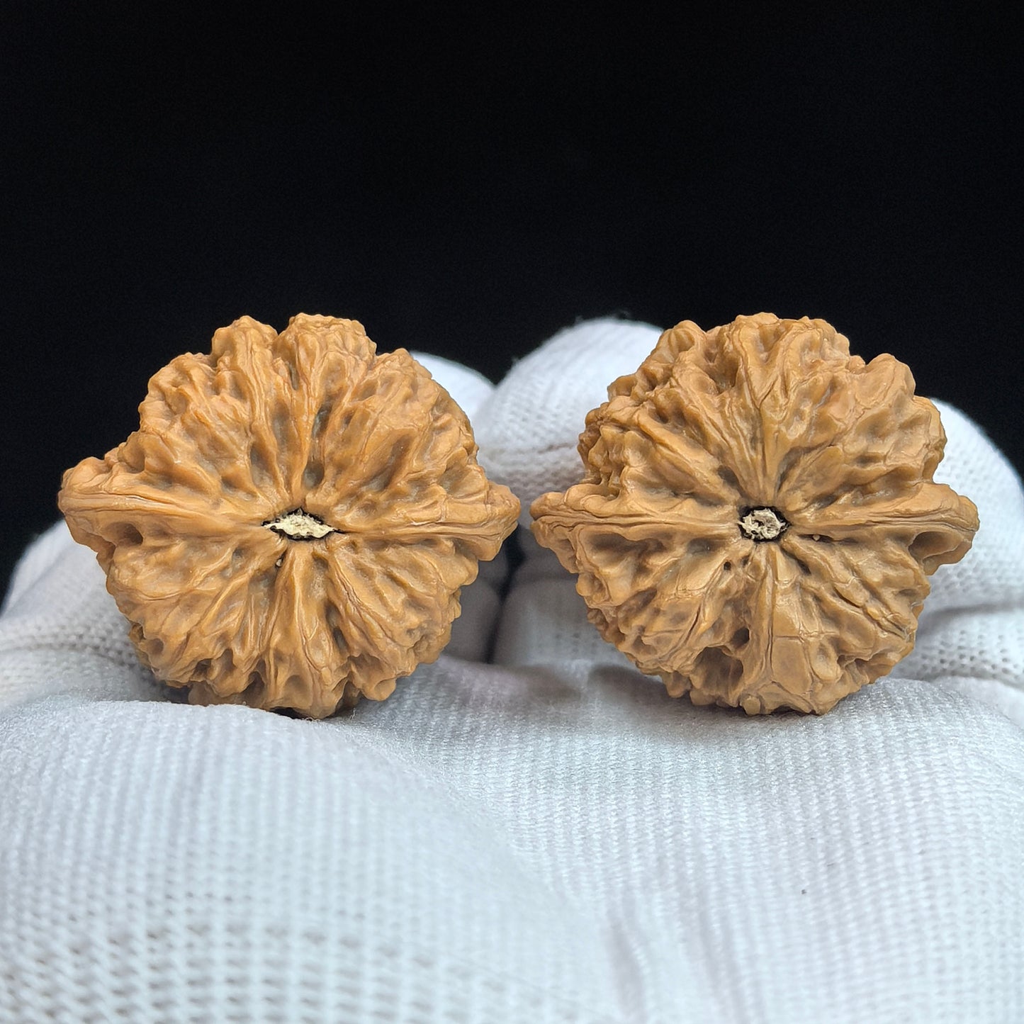 "Concave Base Rain Flower Stone" Concave Base Yuhuashi BDYHS-17A3C Low-Profile Wenwan Walnuts Pair | 35.0mm x 33.0mm | BDYHS-17A3C