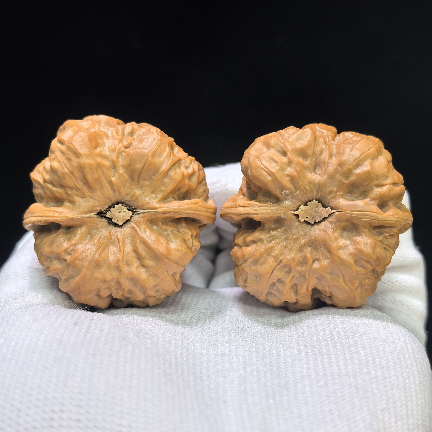 "Toad Head" Hamatou Wenwan Walnuts Pair | 40.0mm x 41.0mm | HMT-01SY
