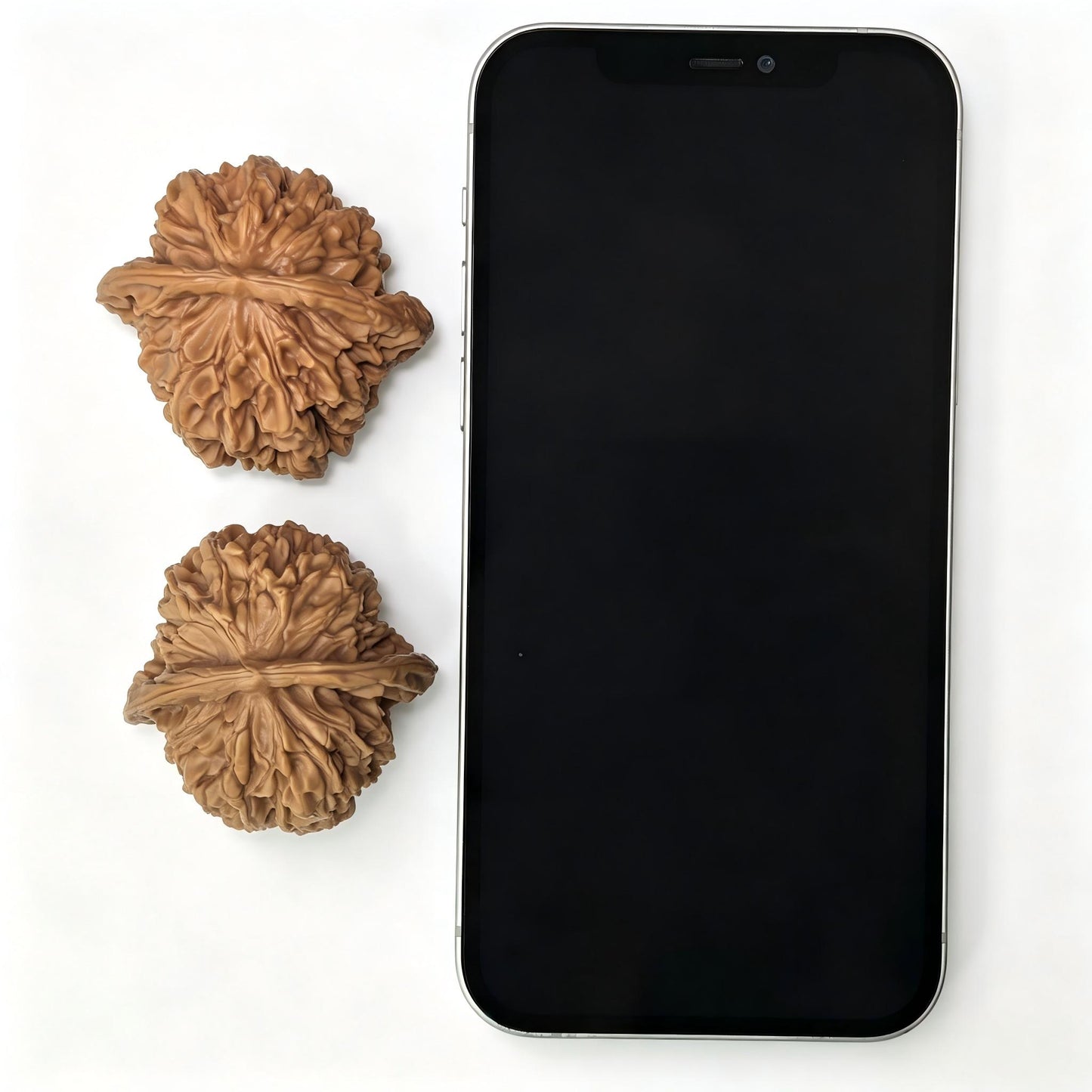 Bai Shou Lion Head (Hundred Longevity) Scholar Walnuts Pair | 45.0mm x 43.0mm | Stock ID: BSSZT-1401