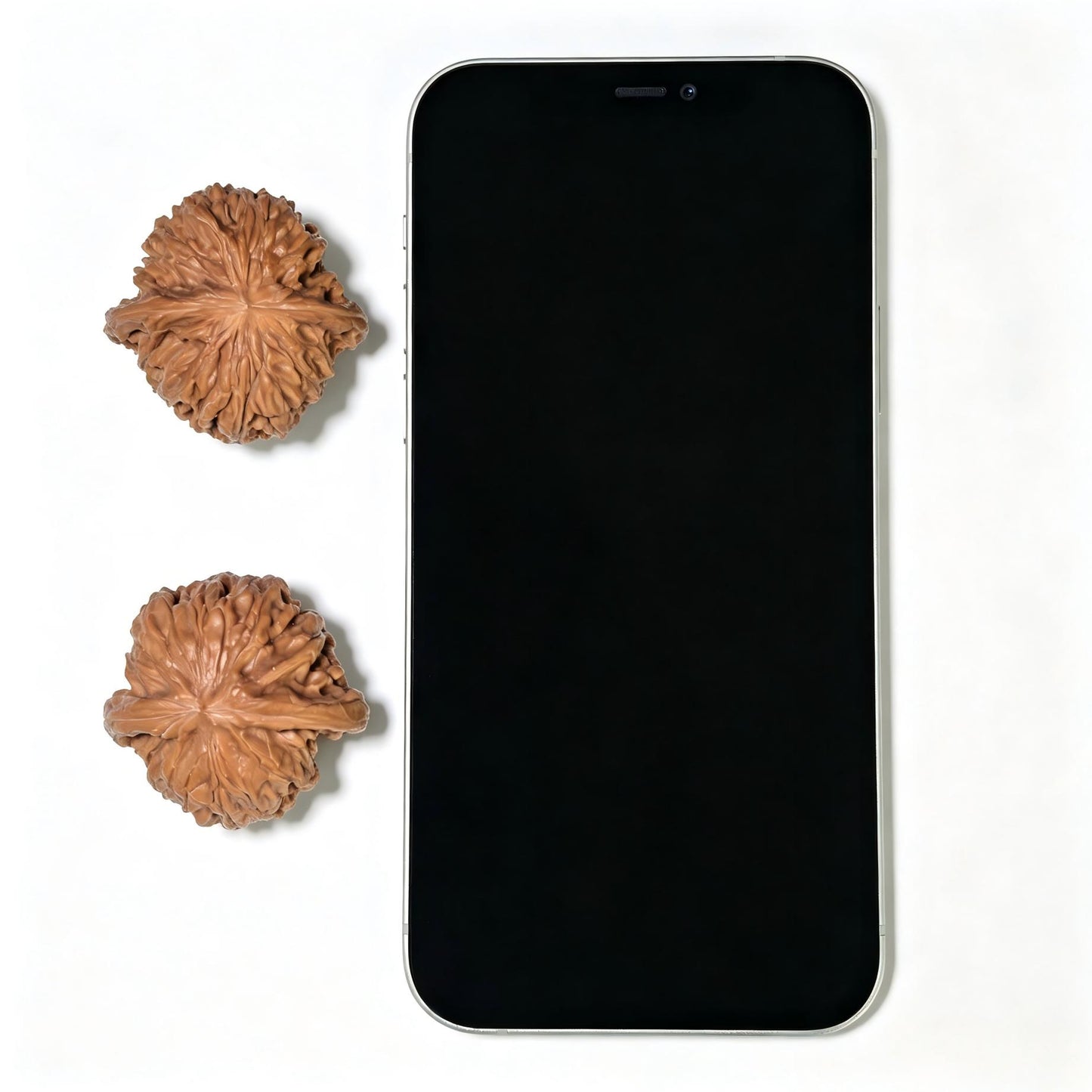 "Butterfly Millstone" Hudie Mopan MP-1403 Low-Profile Wenwan Walnuts Pair | 38.0mm x 38.0mm | MP-1403