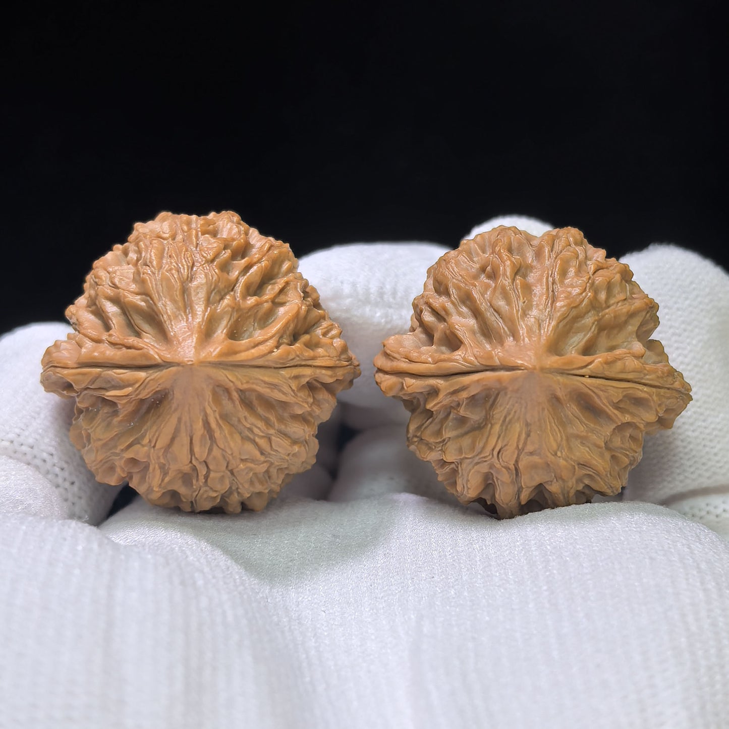 "Moon-Gazing Pocket Spinner" Wangyue Shounian Wenwan Walnuts Pair | 31.0mm x 30.0mm | WY-01SY