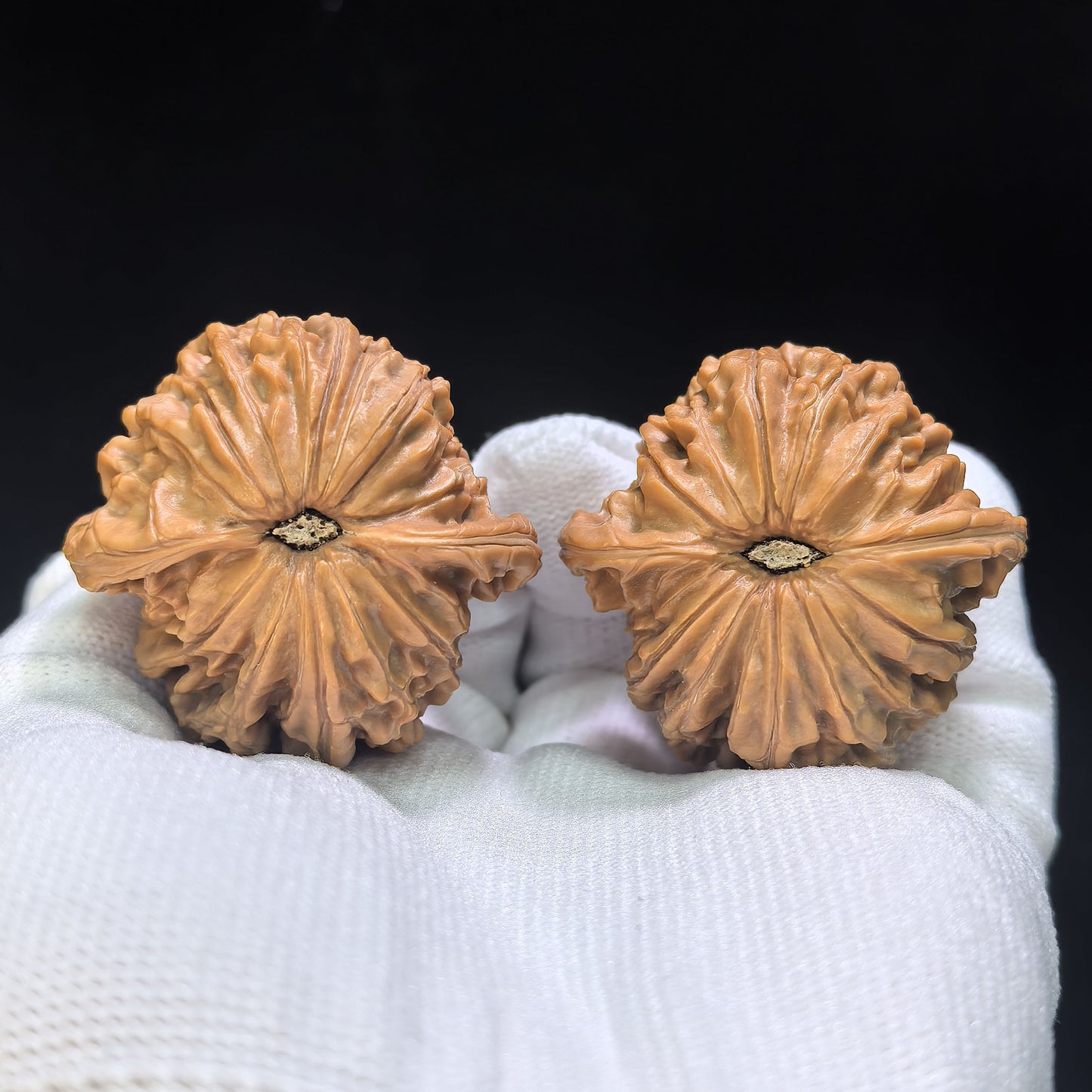 "Millstone" Mopan Wenwan Walnuts Pair | 40.0mm x 39.0mm | MP-1502C
