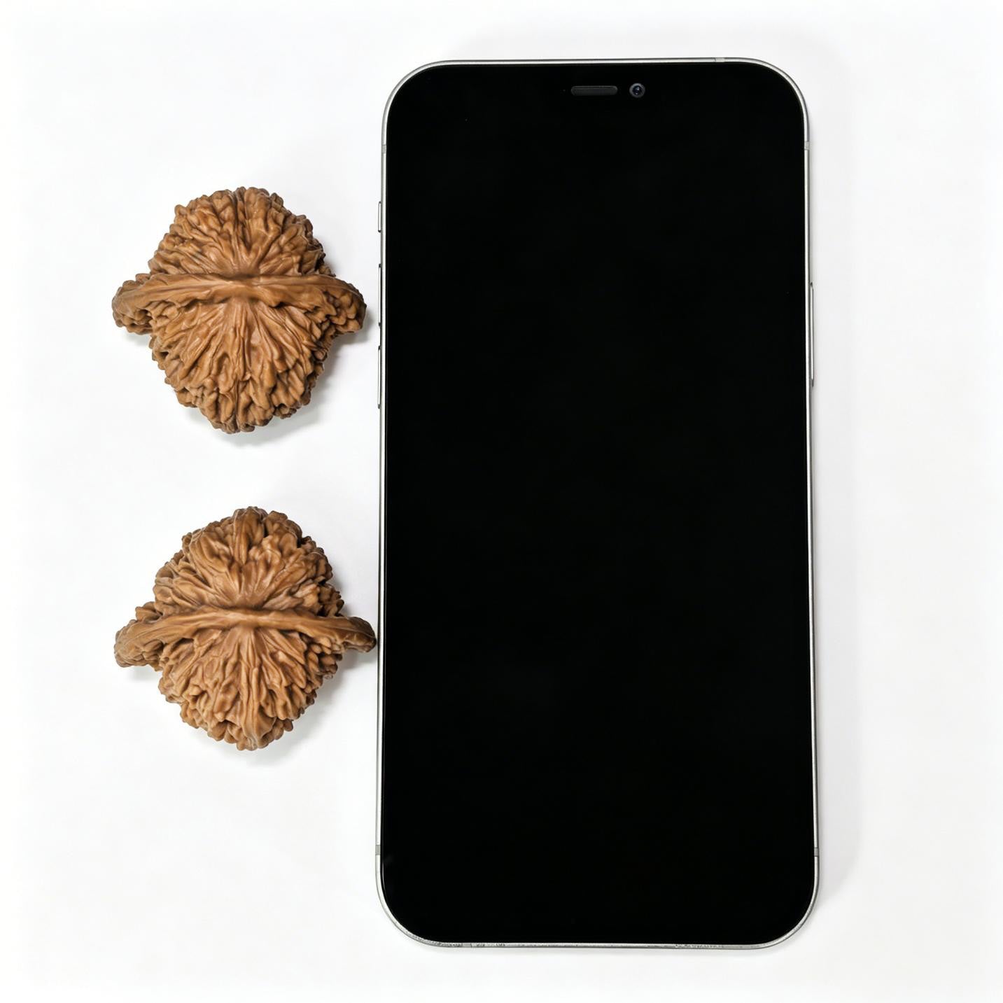 "Four-Seat Tower" Sizhoulou SZL-1406 Low-Profile Wenwan Walnuts Pair | 41.0mm x 40.0mm | SZL-1406